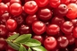 lingonberry;lowbush cranberry;Bilberry Vape e-liquid e juice flavor concentrate flavoring flavour