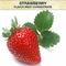 Mint Flavours Concentrated for Electronic Cigarette Concentrated Fruit Strawberry Flavor Used for E-Liquid Best Concentr