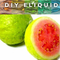 Hot Sell Vape Fruit Flavours Used for Vape Ejuice Eliquid 125ml/500ml/1L Vape Liquid Flavoring Concentrated Lemon-Mint F